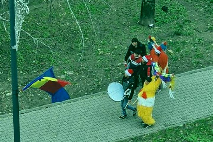 escort Tifesti