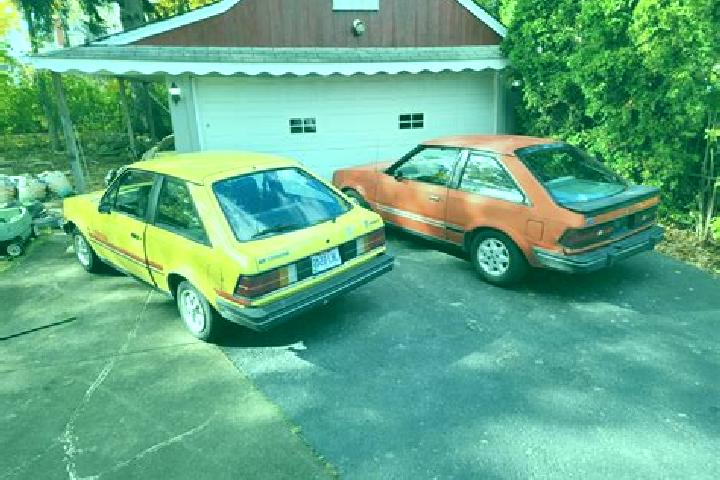 escort Timau