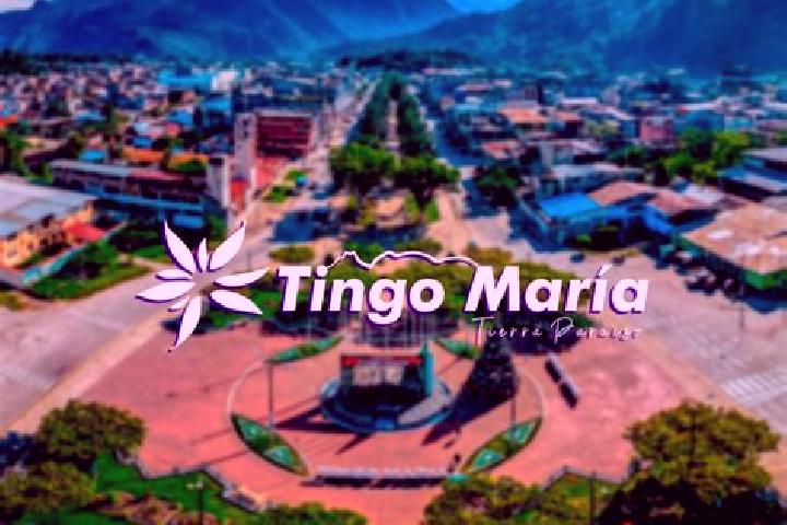 escort Tingo Maria