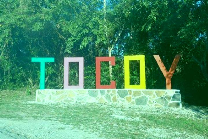 escort Tocoy