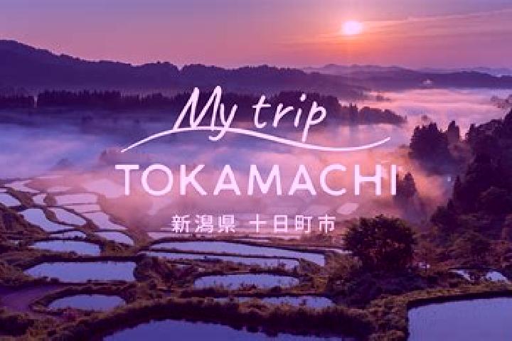 escort Tokamachi