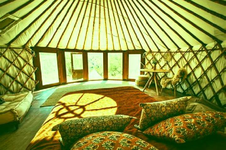escort Tolstoy-Yurt