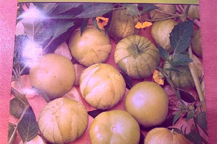 escort Tomatillo
