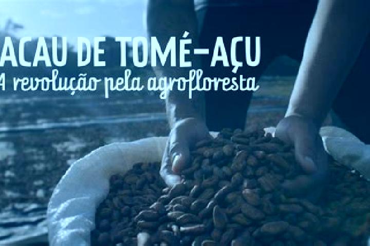 escort Tome-Acu