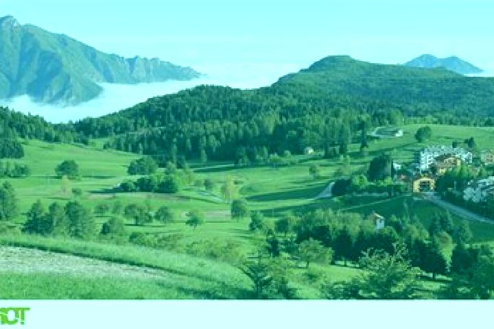 escort Tonezza del Cimone