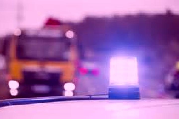 escort Toppenstedt