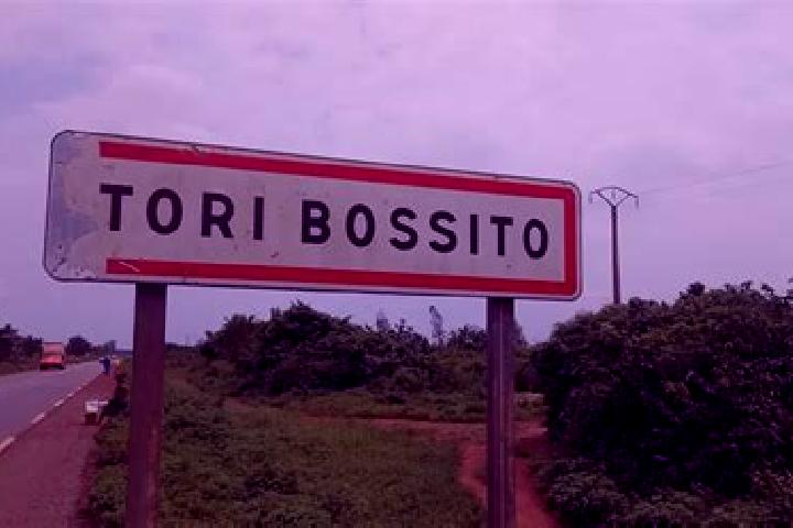 escort Tori-Bossito