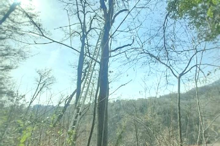 escort Torre de Busi