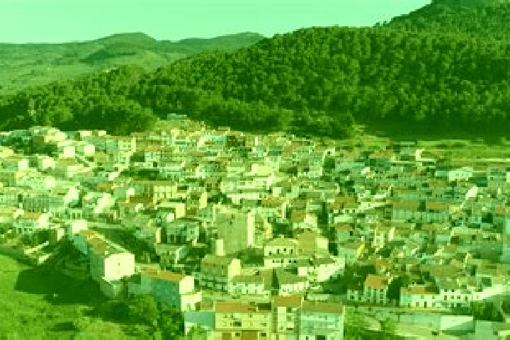 escort Torres de Albanchez