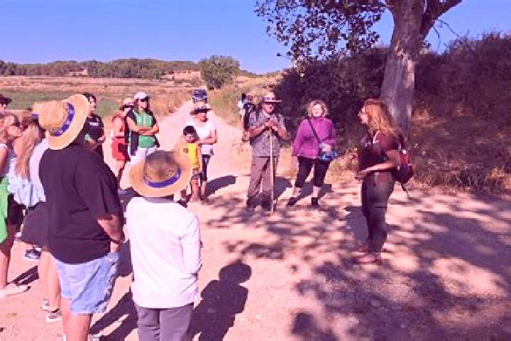 escort Torres de Barbues