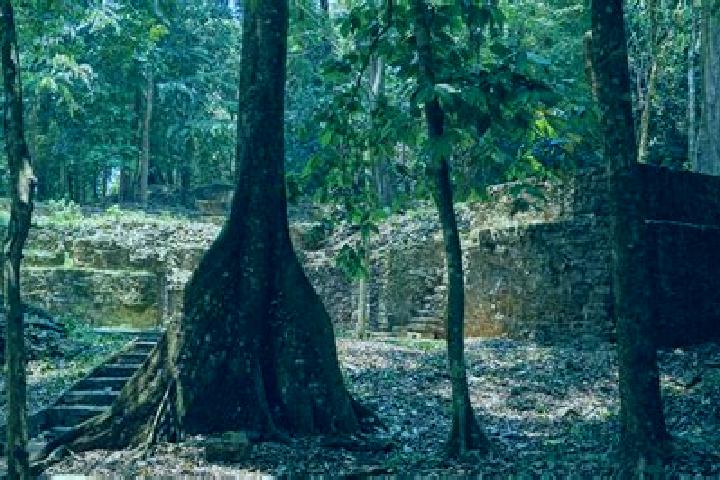 escort Totomoxtla (La Ceiba)