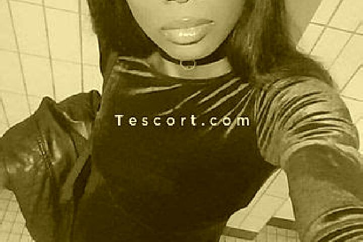escort Tours