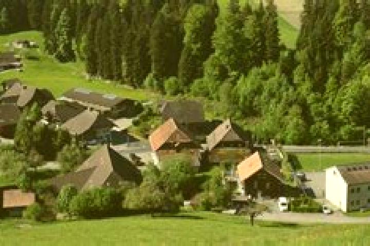 escort Trachselwald