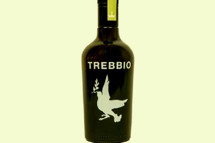 escort Trebbio