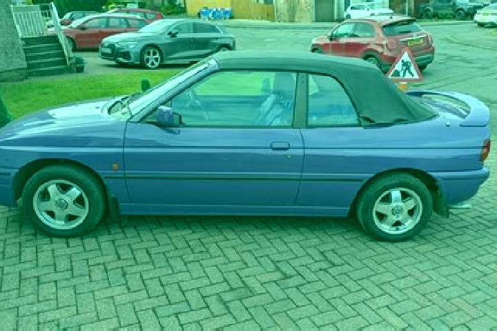 escort Treben