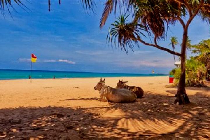 escort Trincomalee