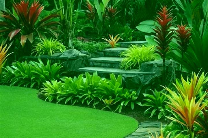 escort Tropical Gardens