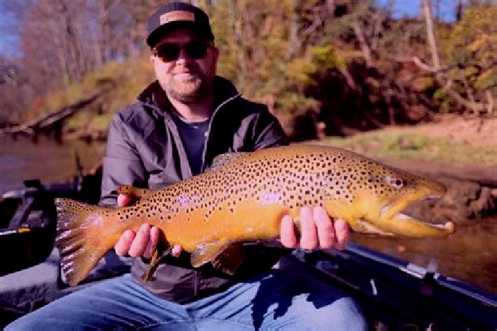 escort Trout River