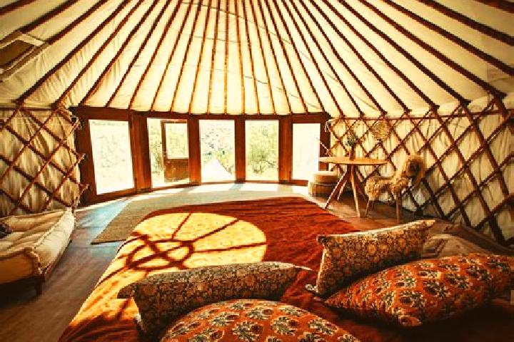 escort Tsotsin-Yurt