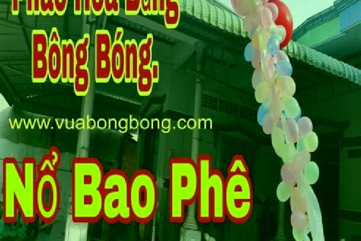 escort Tu Bong
