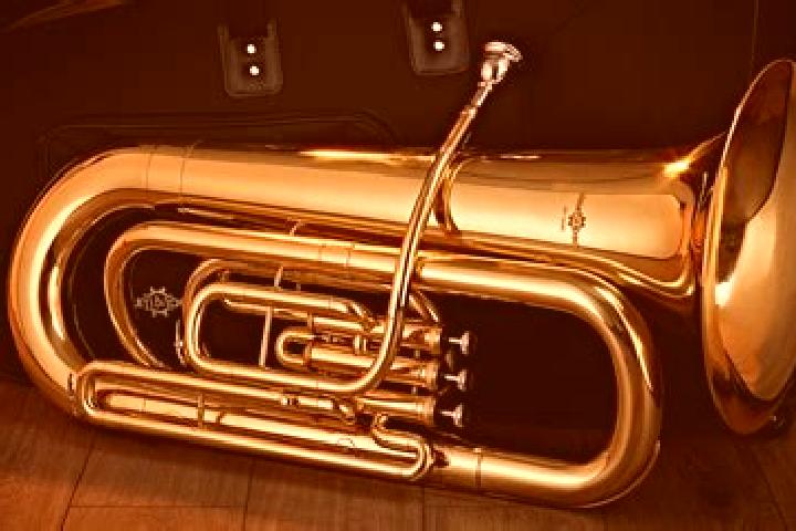 escort Tuba-Wuli