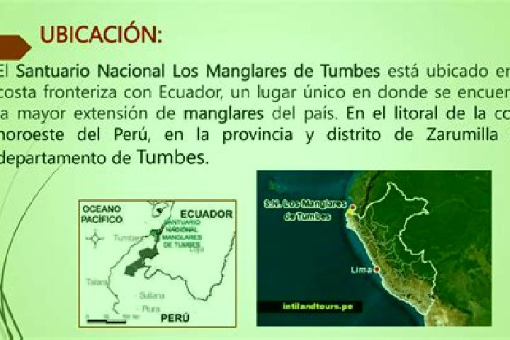 escort Tumbes