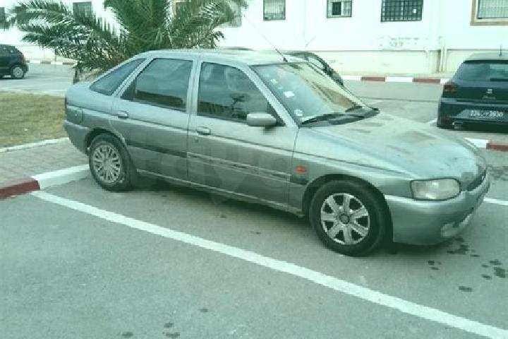 escort Tunis