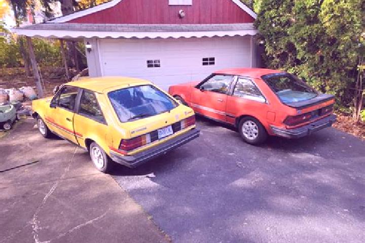 escort Tureholm