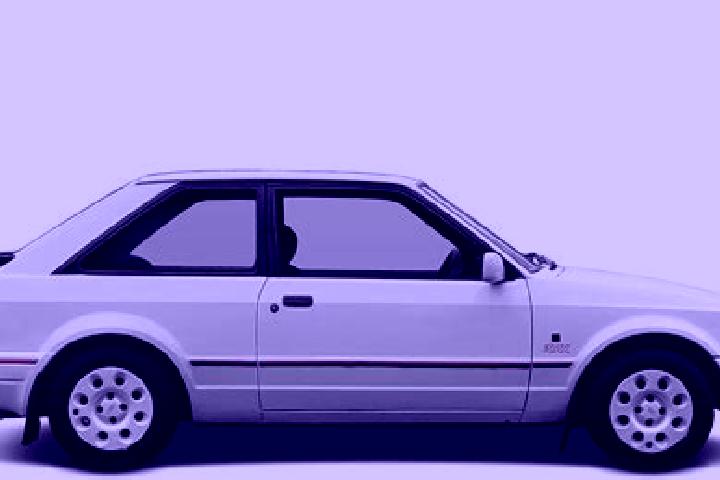 escort Turleque