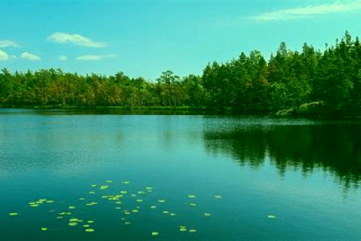 escort Turtle Lake