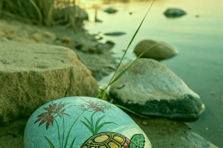escort Turtle Rock