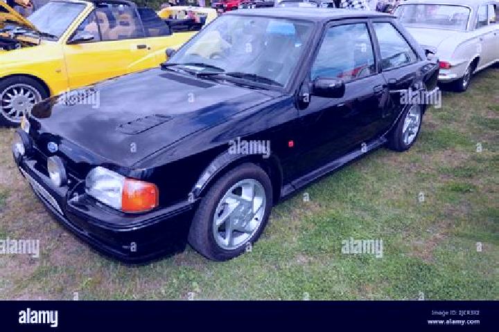 escort Tutak