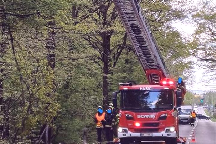 escort Ujezd nad Lesy