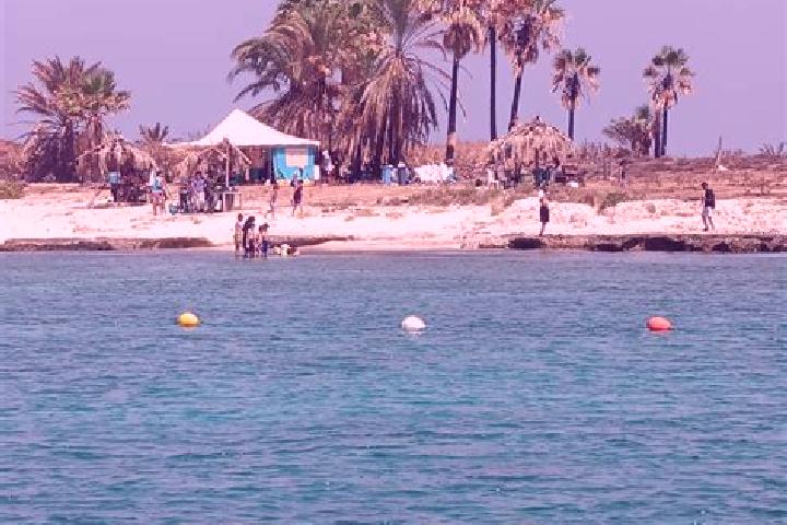 escort Umm al Aranib