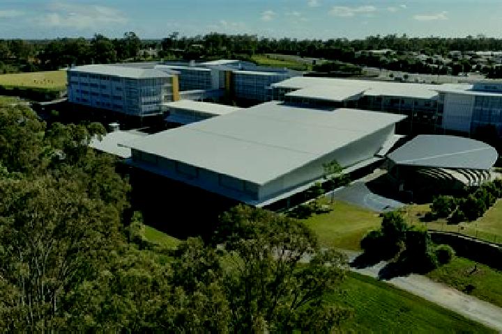 escort Upper Coomera