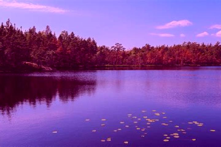escort Upper Lake