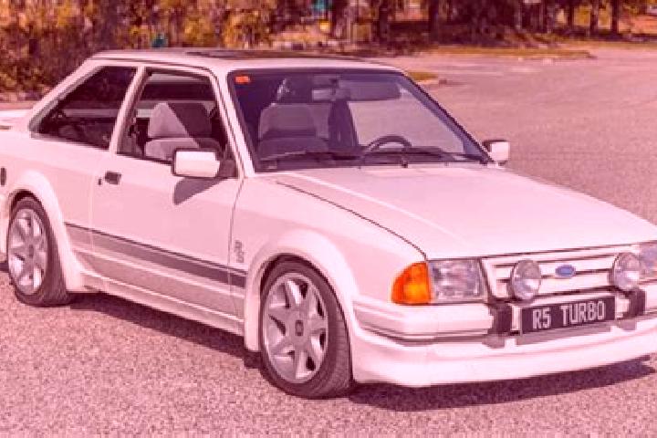 escort Ursoaia