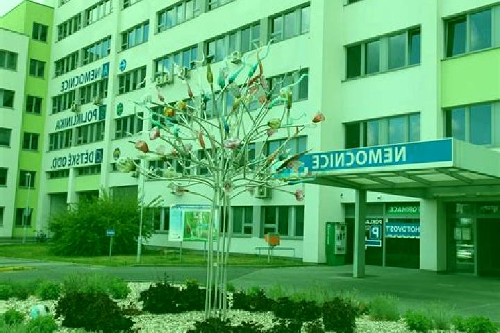 escort Usti