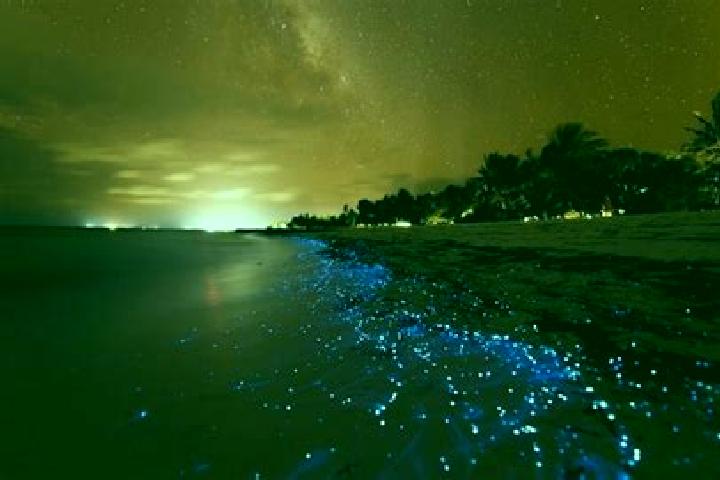 escort Vaadhoo