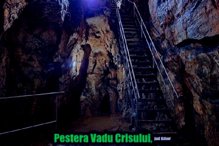 escort Vadu Crisului