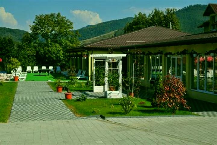 escort Vadu Stanchii