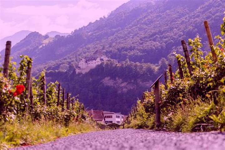 escort Vaduz