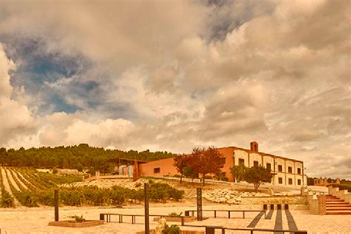 escort Valbuena de Duero