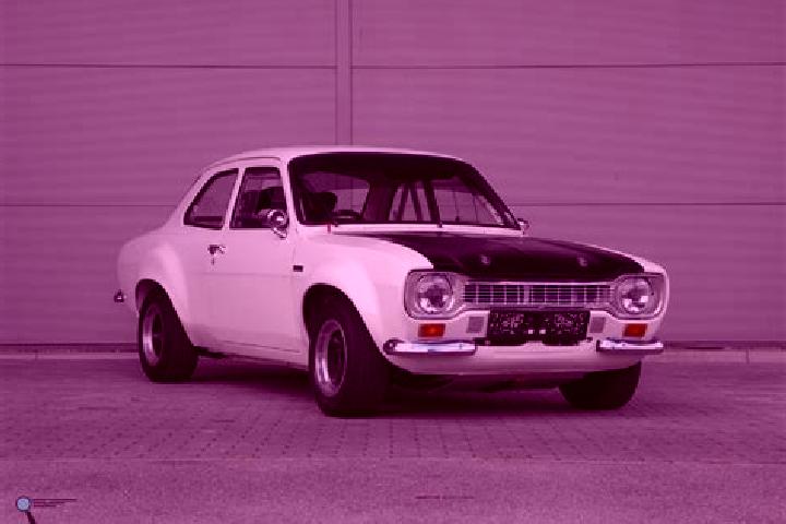 escort Valcani