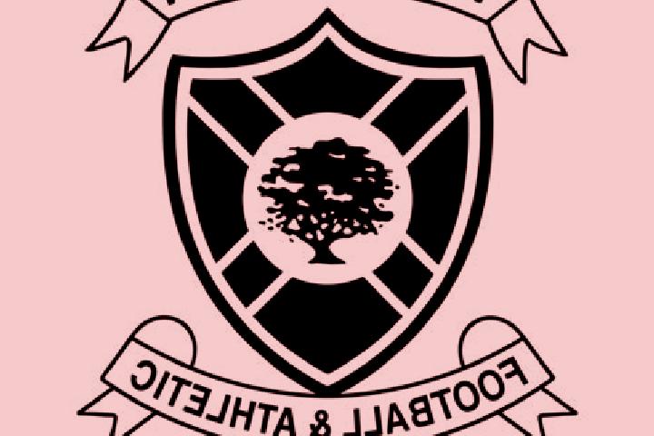escort Vale of Leven