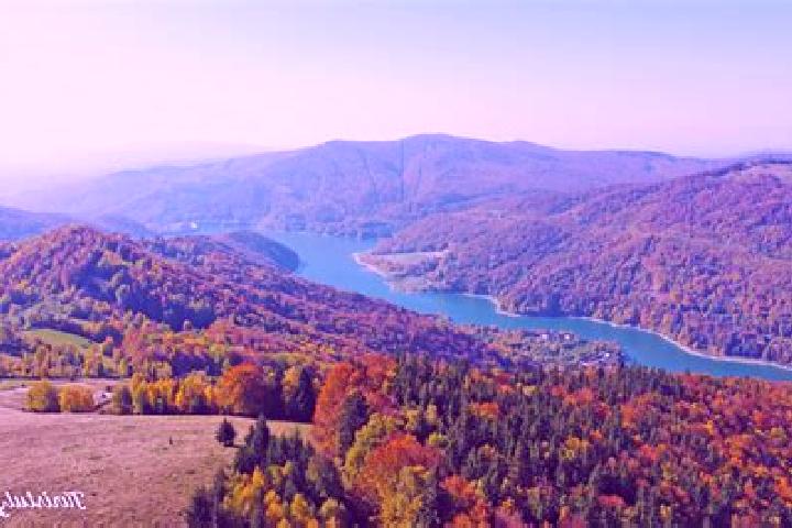 escort Valea Badenilor