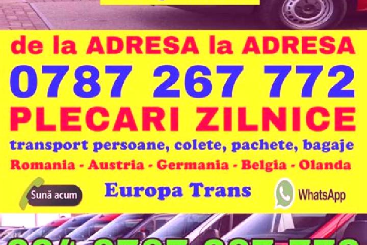escort Valea Bolvasnita