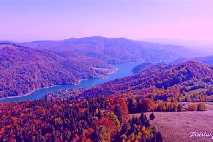 escort Valea Catinei