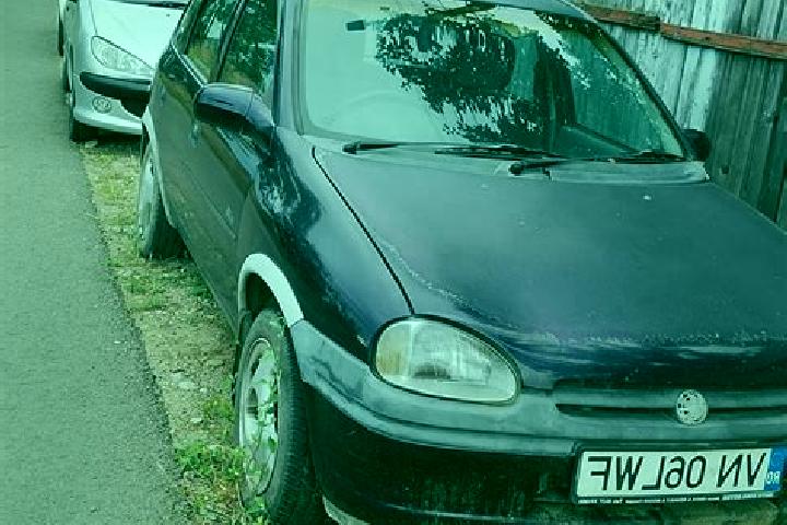 escort Valea Cotesti