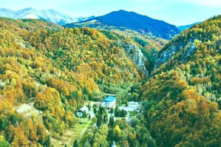 escort Valea de Brazi